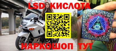 прущие грибы Будённовск