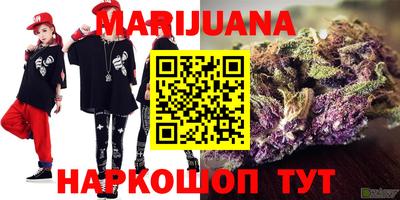прущие грибы Будённовск