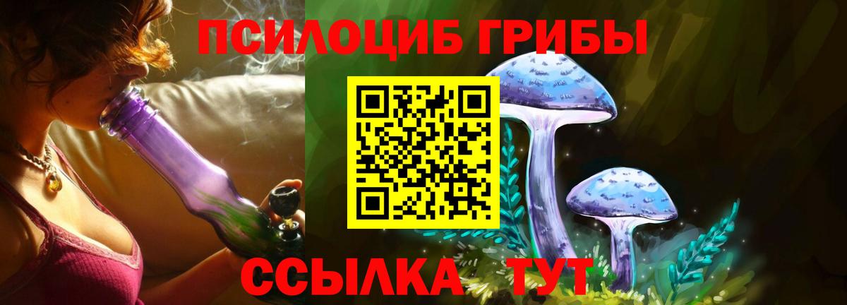 Псилоцибиновые грибы MAGIC MUSHROOMS Михайловка